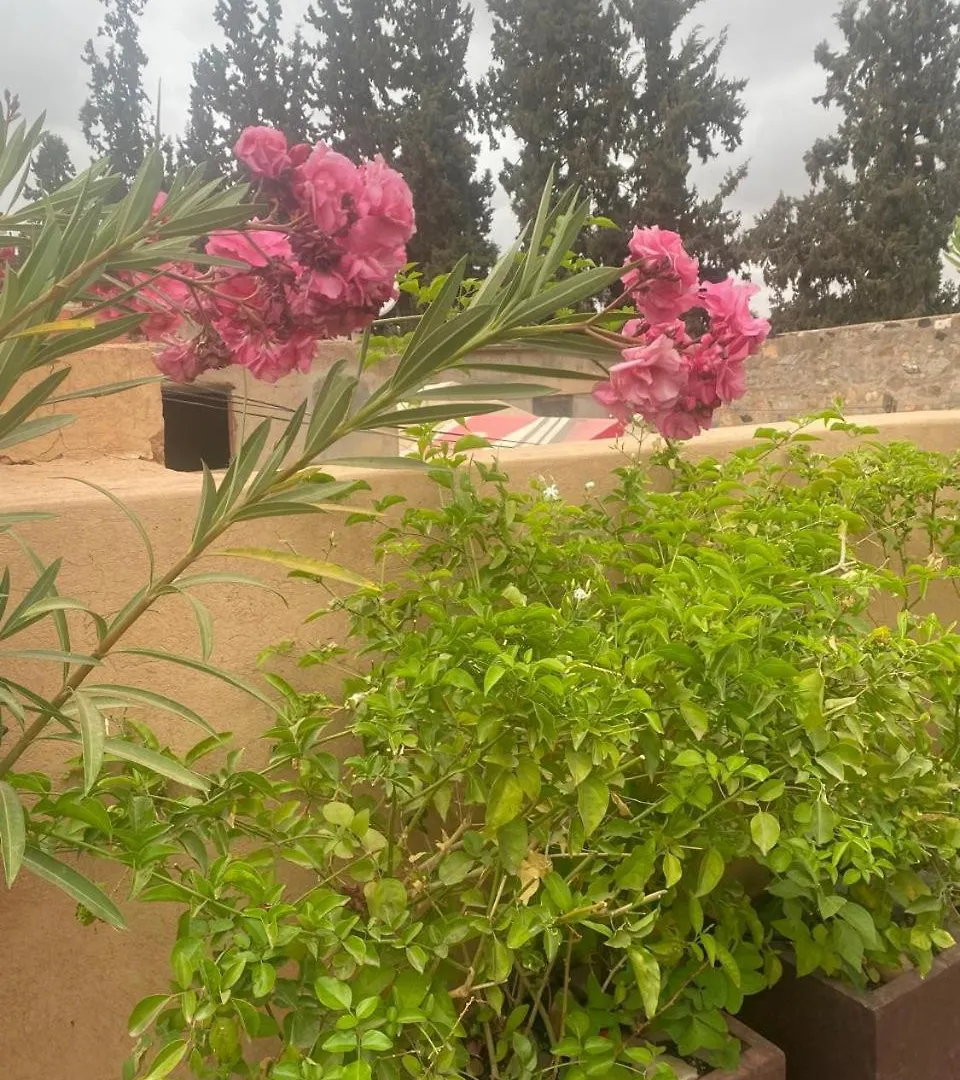 Dar Dalia Villa Marrakesh